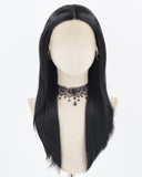 Black Straight Synthetic Lace Front Wig WT263