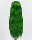 Green Tinsel Straight Lace Front Wig WW715