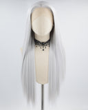 Silver Grey Long Straight Synthetic Lace Front Wig WW702